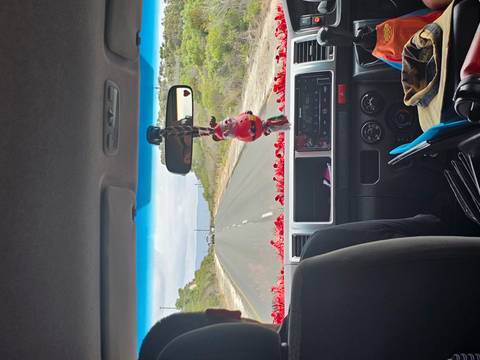       View from inside a vehicle on a road trip.
  