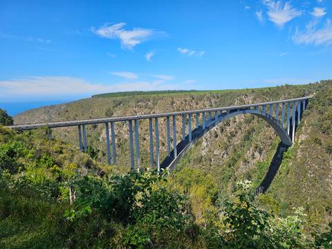      A scenic view of a large bridge spanning a gorge.
  