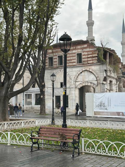 Historic street with trees and people walking.