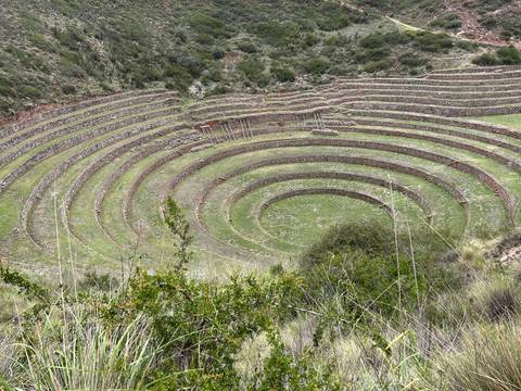 Circular agricultural terraces surrounded by greenery.
