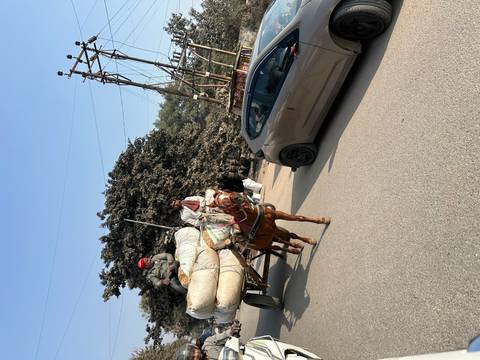 A man pulling a horse-drawn cart on a road.