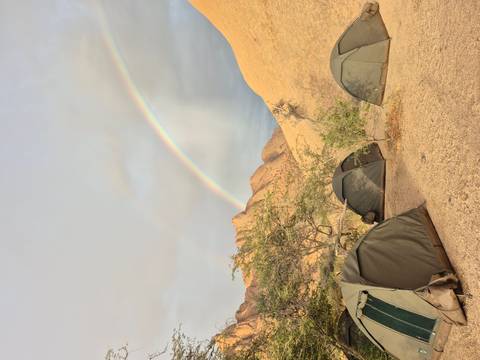 A person carrying a load on their head in a forest.