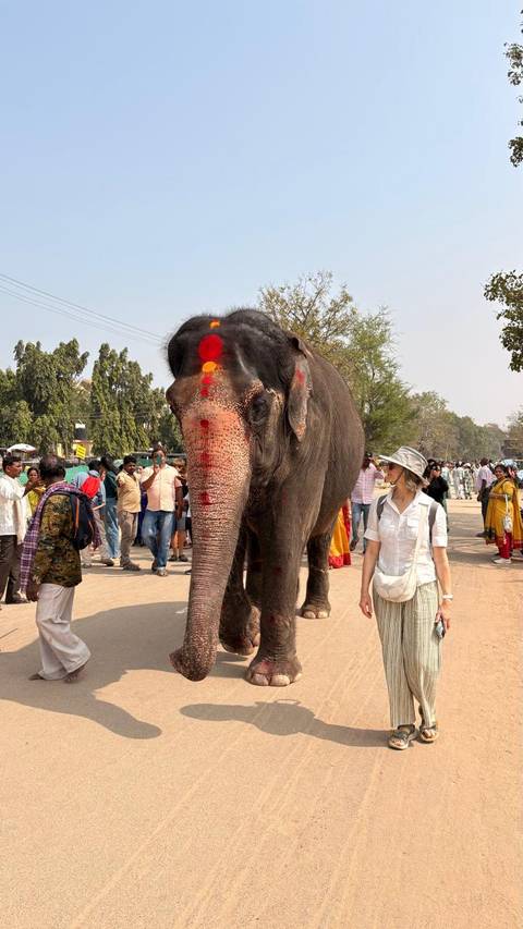       foto de reseña de cliente de El festín del sur - Karnataka y Goa 
  