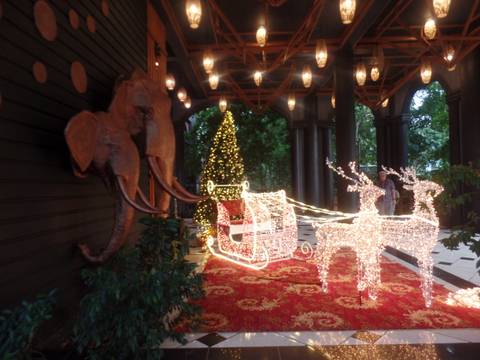 Christmas decoration with reindeer and sleigh.