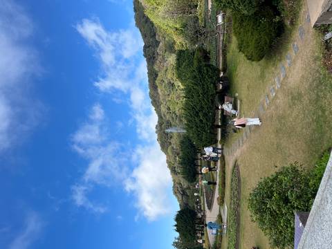 People walking and relaxing in a park with trees.