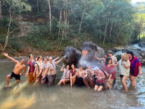       Group of people with elephants in a river.
  