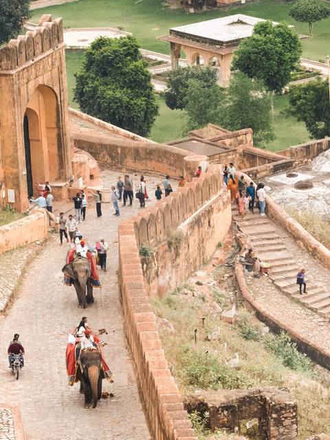 Klantbeoordelingsfoto van 11D Schitterende India Gouden Driehoek Tour: Delhi, Agra, Jaipur, Jodhpur, Udaipur, met een spannende tijgersafari 