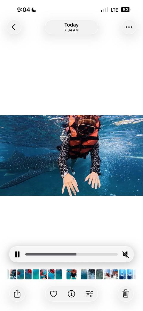 Person snorkeling underwater with a nearby whale shark.