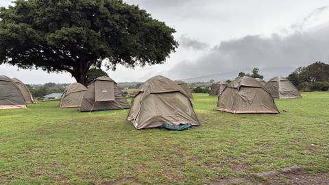 Tents set up in a lush green campsite.