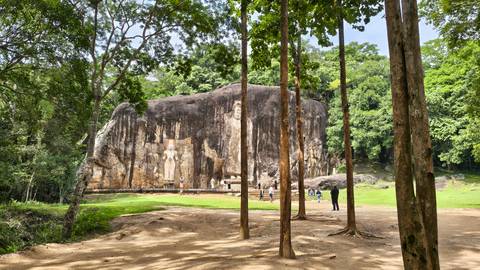 Ancient stone carvings in a forest setting.