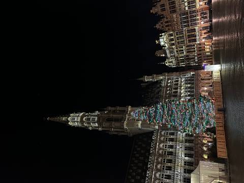 Christmas tree in a grand square at night.
