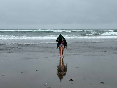       Person walking on a windy beach.
  