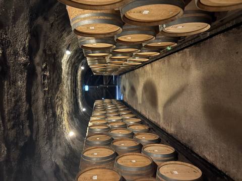 A tunnel with wine barrels lined along the sides.
