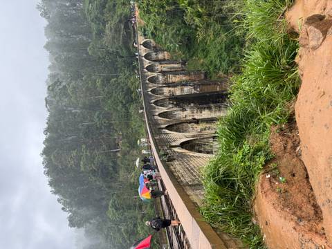       A bridge with people standing on it surrounded by lush greenery.
  