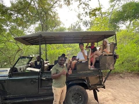 Group on a safari vehicle in a forested area.