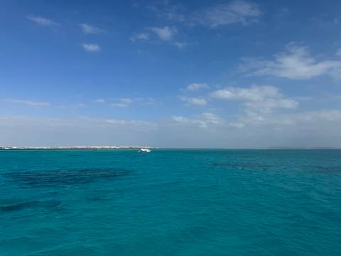       Calm sea under a clear blue sky with distant land visible.
  