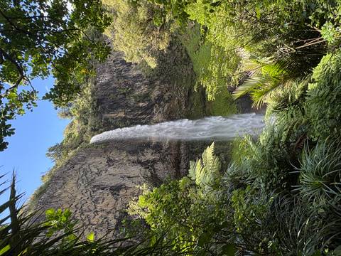       Tall waterfall surrounded by lush greenery.
  