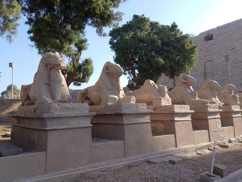 Series of lion statues in an Egyptian temple.