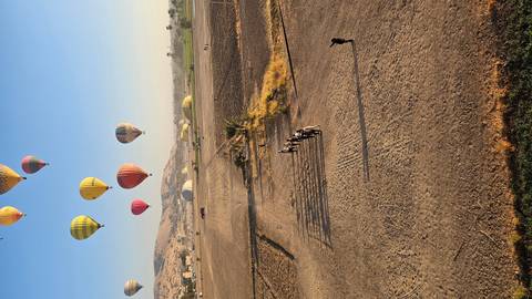 Hot air balloons flying over a rural landscape.