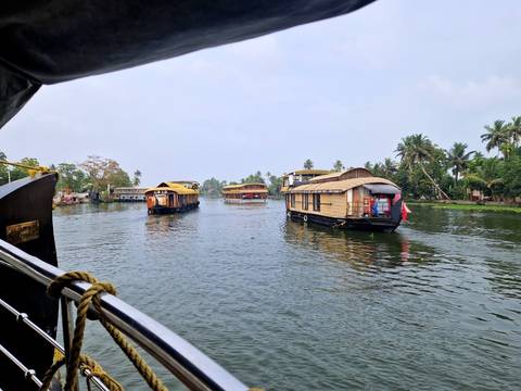       Houseboats on the backwaters surrounded by lush greenery.
  