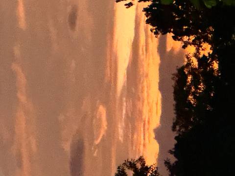 Colorful sunset with trees silhouetted.