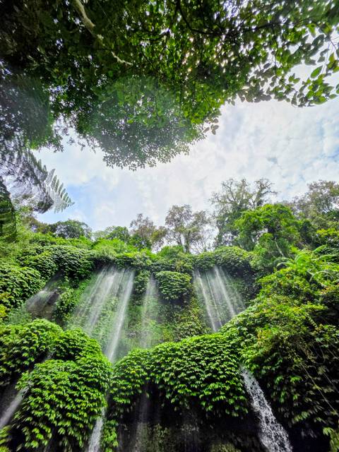 Tropical waterfall surrounded by lush greenery.