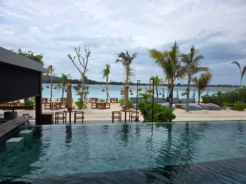 Infinity pool overlooking beach with palm trees and clear sky.