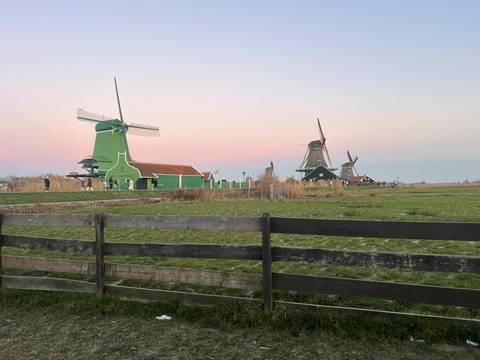Windmills in a rural setting during pink hued dawn.