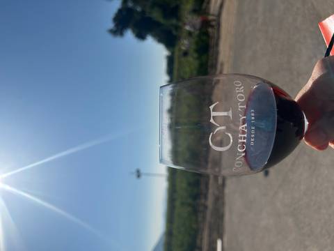 Close-up of a wine glass with a vineyard in the background.