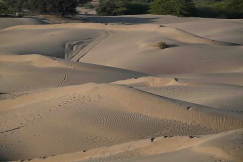 Sand dunes with ripples and footprints in a desert landscape.