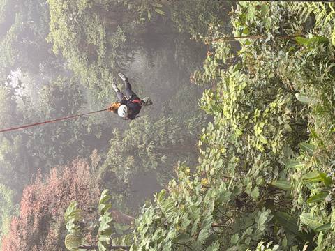Person zip-lining in a lush rainforest.