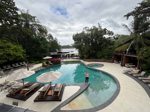       Swimming pool area surrounded by lush greenery.
  