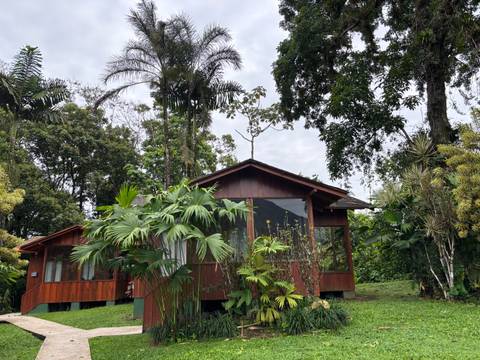 Wooden cabin surrounded by tropical greenery.