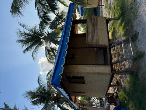 Rustic bamboo hut surrounded by palm trees.