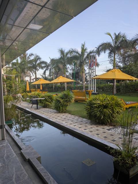 Outdoor seating area with yellow umbrellas and palm trees.