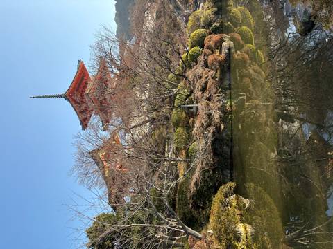 A Japanese temple surrounded by trees, reflected in a pond.