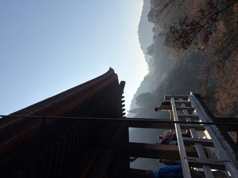 People standing on a balcony, overlooking a forested valley.