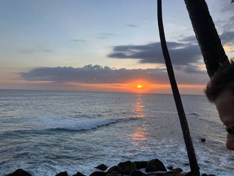 Beautiful sunset over the ocean with palm trees in the foreground.