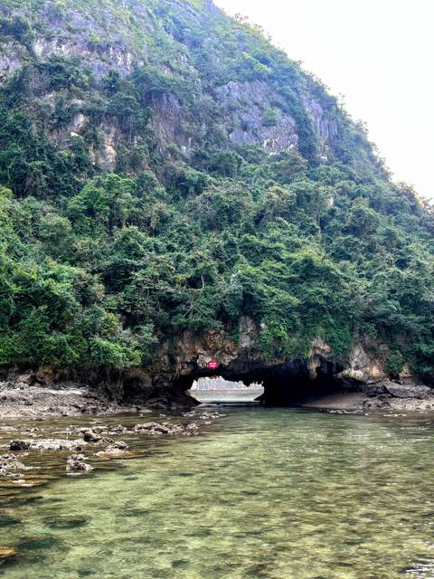 A cave entrance surrounded by lush greenery and calm waters.