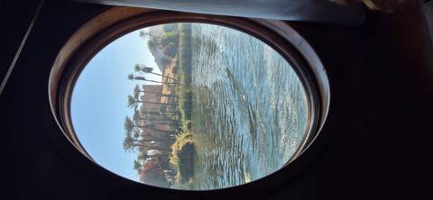       View through a round window of a river with palm trees and a distant building.
  