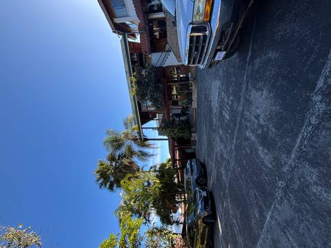 Parking lot in front of a building with palm trees under a clear blue sky.