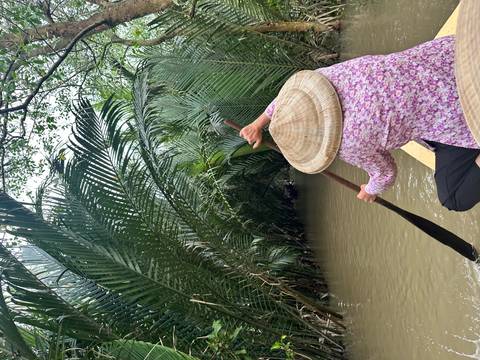       Person rowing a boat in a waterway surrounded by dense palm trees.
  