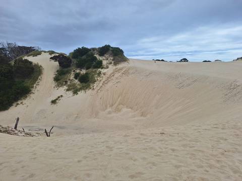 Sandy dunes with sparse vegetation under a cloudy sky.