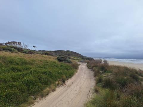 Coastal path with grassy dunes leading to a beach.