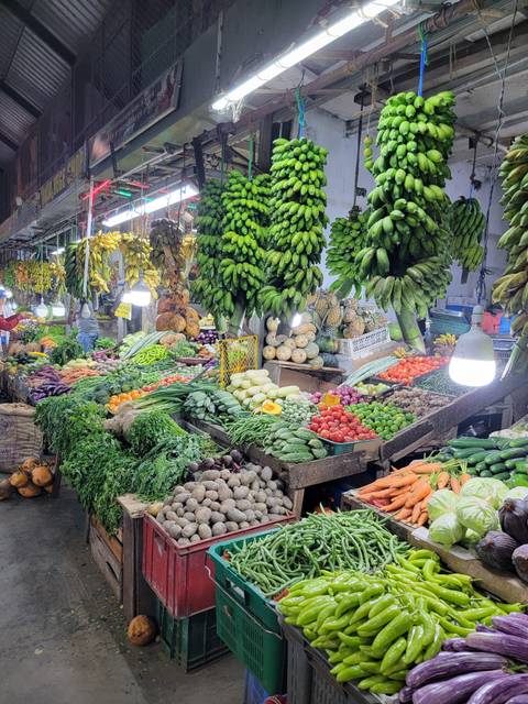       Market stall filled with a variety of fruits and vegetables.
  