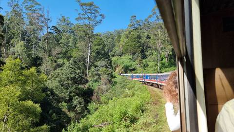       View from train window overlooking lush greenery.
  