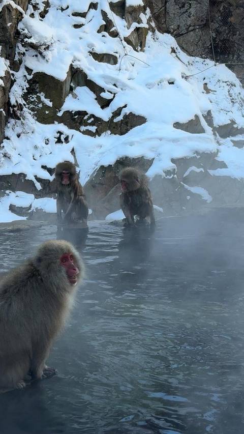 Klantbeoordelingsfoto van Centraal Japan (inclusief Nikko) 