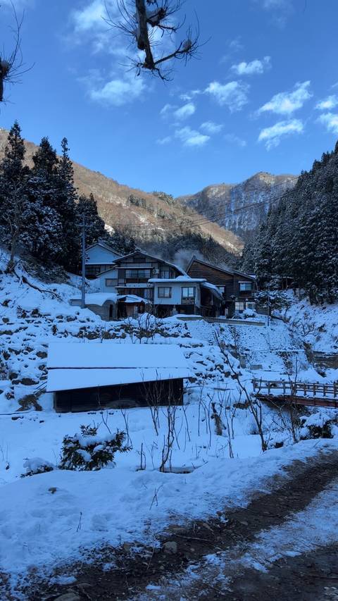       Snow-covered traditional Japanese houses surrounded by trees.
  