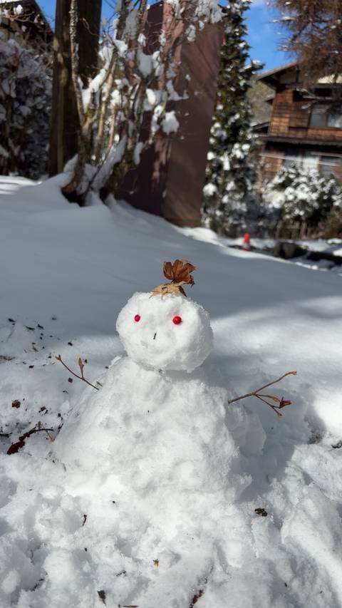       A small snowman with a leaf hat and red bead eyes sitting on snow.
  