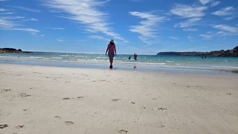       Person walking along a sandy beach with a view of cliffs in the distance.
  